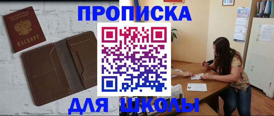 где прописаться в Павловске